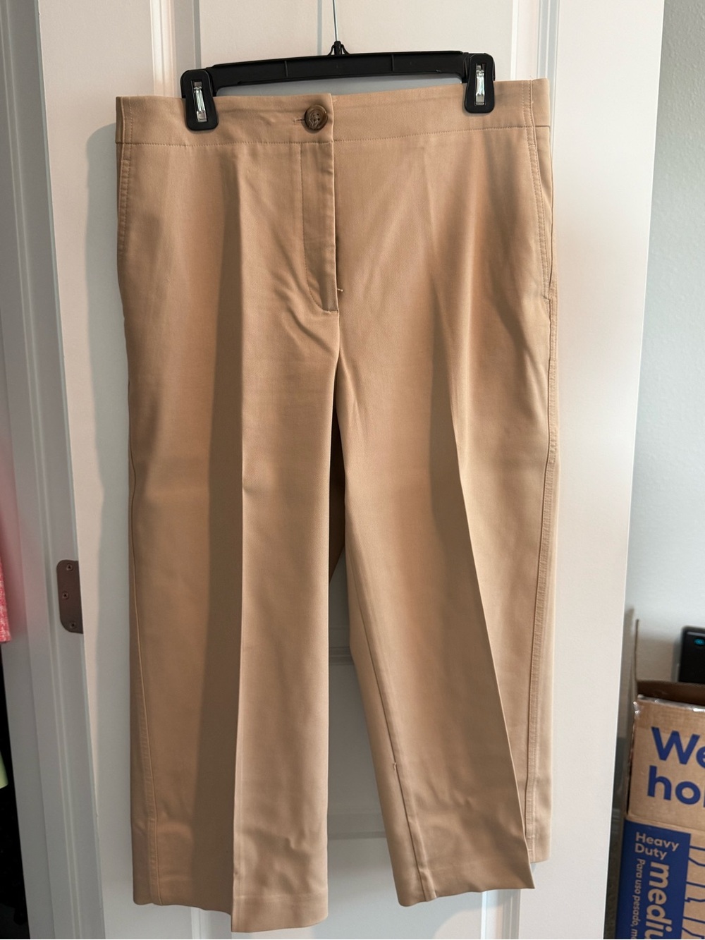Ann Taylor Tan Capris